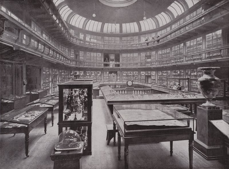 Geologisk museum, Piccadilly av English Photographer