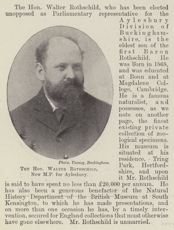 Den ærede Walter Rothschild, ny MP for Aylesbury av English Photographer