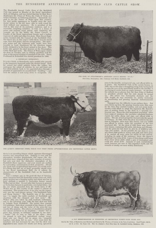Hundreårsjubileet for Smithfield Club Cattle Show av English Photographer