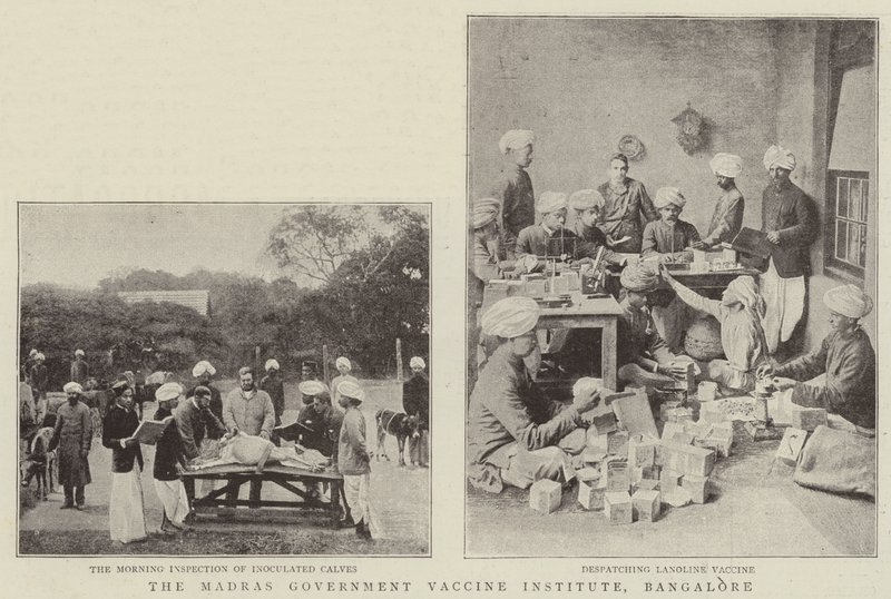 Madras Government Vaccine Institute, Bangalore av English Photographer