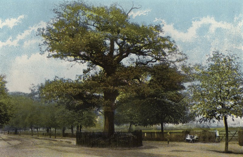 The Midland Oak, Leamington av English Photographer