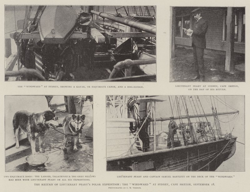 The Return of Lieutenant Pearys Polar Expedition, Windward i Sydney, Cape Breton, 18. september av English Photographer