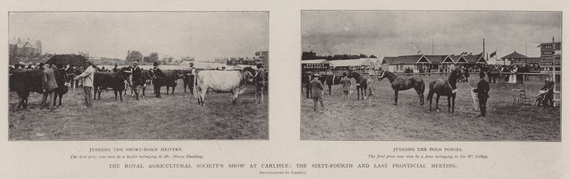 Royal Agricultural Society Show på Carlisle, det sekstifjerde og siste provinsmøtet av English Photographer