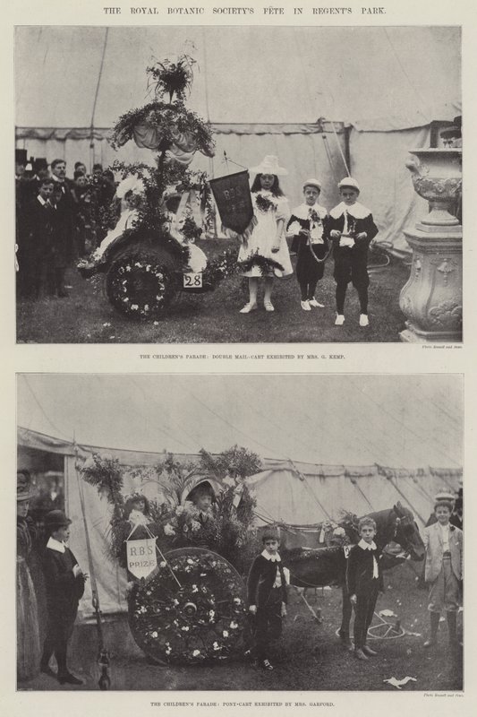 Royal Botanic Societys-festen i Regents Park av English Photographer