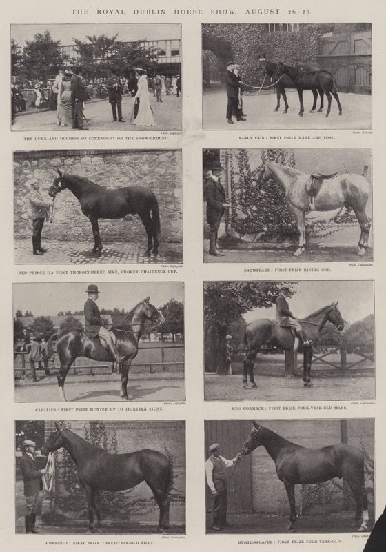 The Royal Dublin Horse Show, 26.-29. august av English Photographer