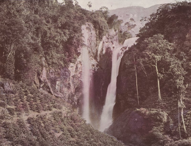 The Twin Falls (kaffe vokser i forgrunnen), Ceylon (farget bilde) av English Photographer