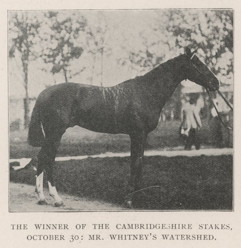 Vinneren av Cambridgeshire Stakes, 30. oktober, Mr Whitneys Watershed av English Photographer