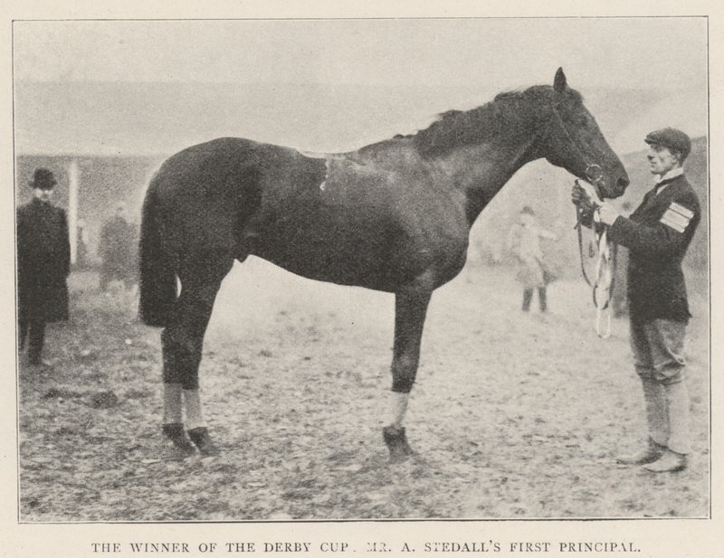 Vinneren av Derby Cup, Mr A Stedalls First Principal av English Photographer