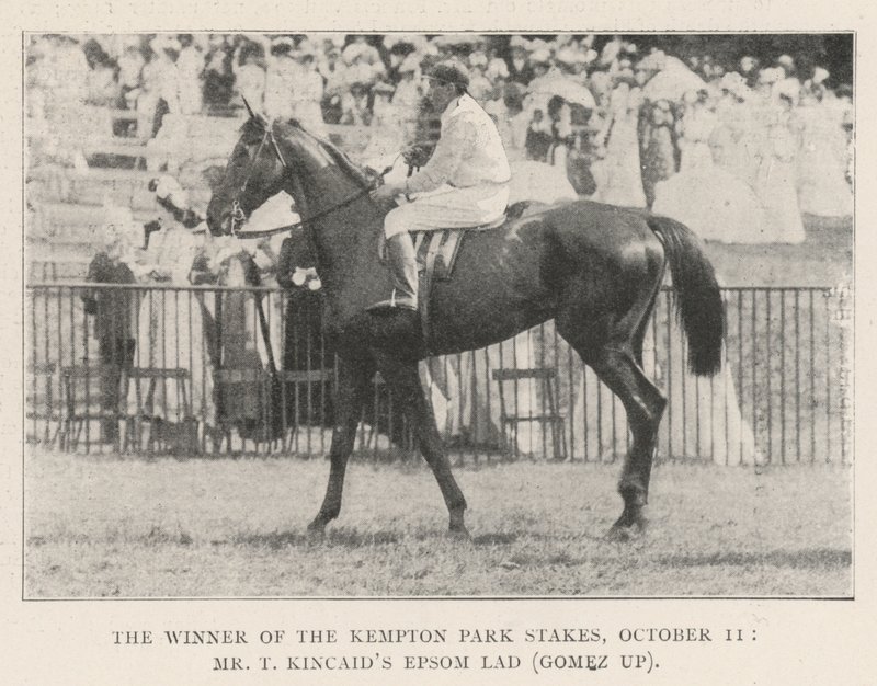 Vinneren av Kempton Park Stakes, 11. oktober, Mr T Kincaids Epsom Lad (Gomez opp) av English Photographer