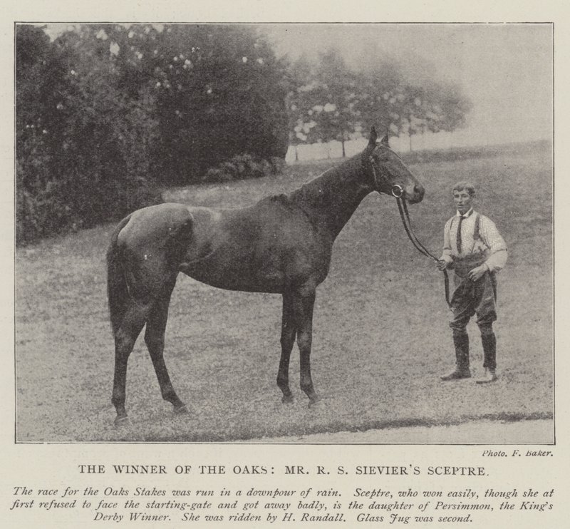 Vinneren av Oaks, Mr RS Sieviers Scepter av English Photographer