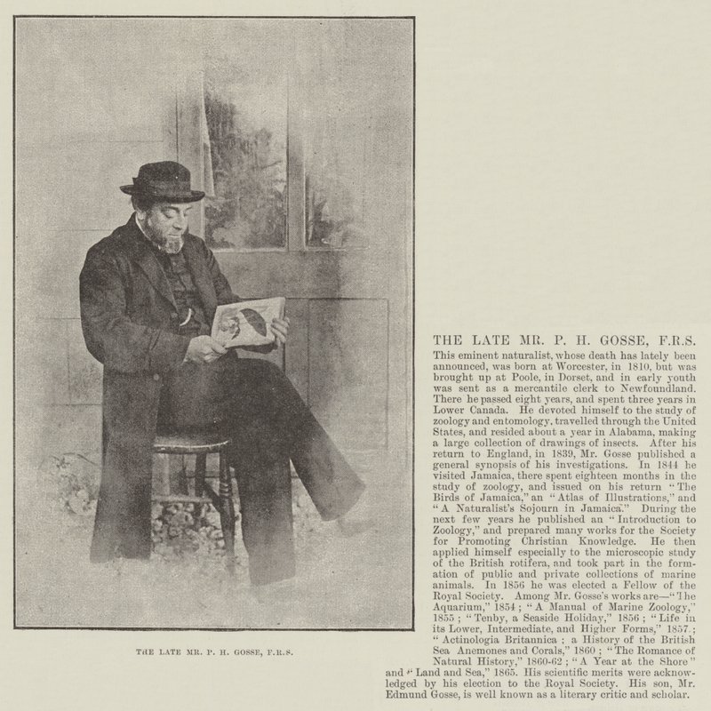 Avdøde hr. P H Gosse, FRS av English Photographer