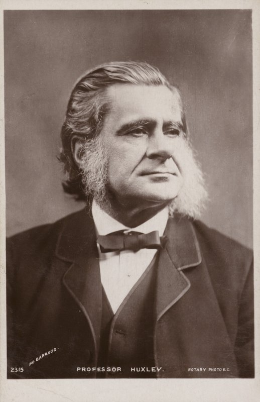 Thomas Henry Huxley (1825-1895, engelsk biolog av English Photographer
