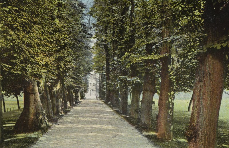 Trinity College, Avenue av English Photographer
