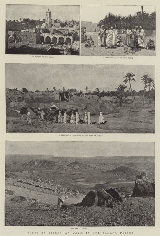 Utsikt i Biskra, en oase i Sahara-ørkenen av English Photographer