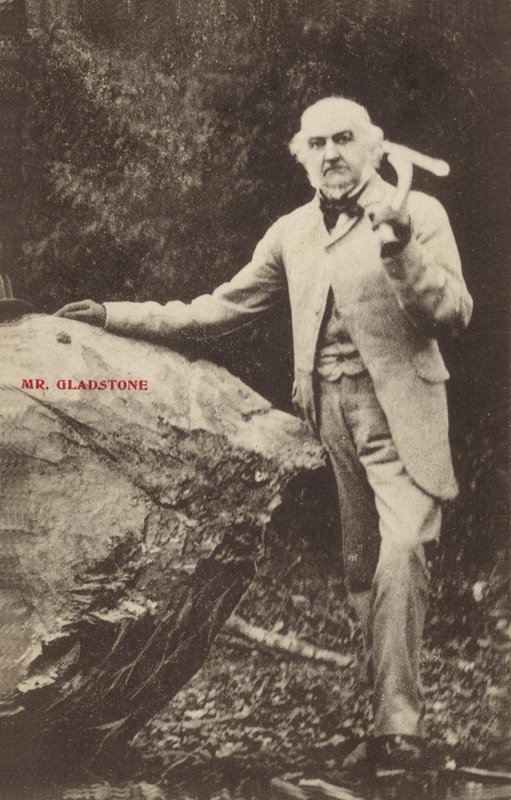 William Ewart Gladstone av English Photographer