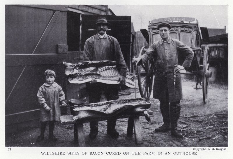 Wiltshire-sider av bacon herdet på gården i et uthus (s/hvitt-bilde) av English Photographer