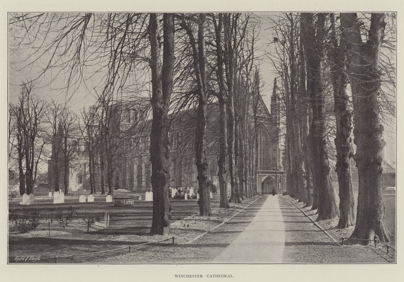 Winchester katedral av English Photographer