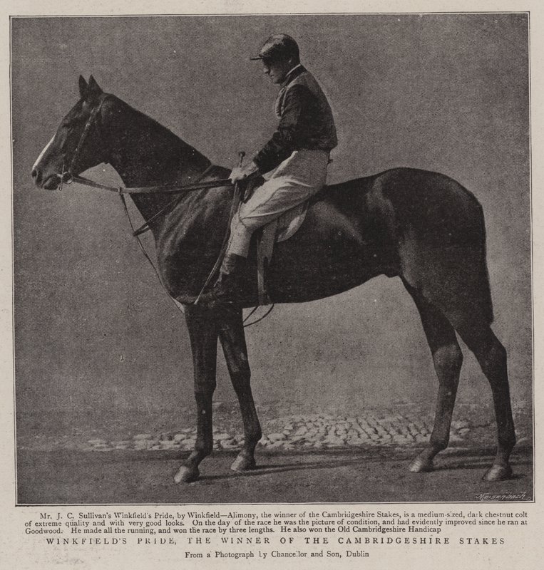 Winkfields Pride, vinneren av Cambridgeshire Stakes av English Photographer