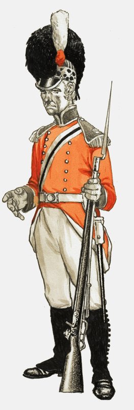 92. Hon. Artillery Co. Infanteri Div. Privat 1803 av English School