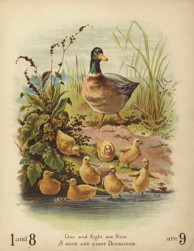En and og åtte andunger (chromolitho) av English School