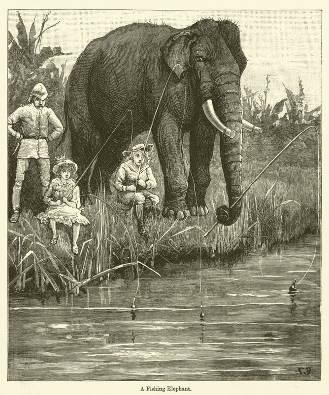 En fiskeelefant (gravering) av English School