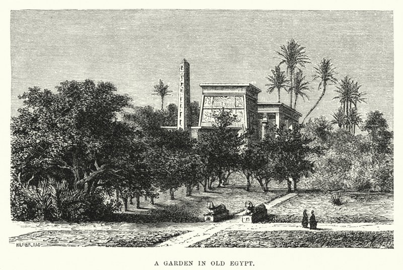En hage i det gamle Egypt (gravering) av English School