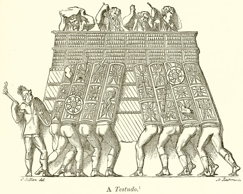 Til Testudo av English School