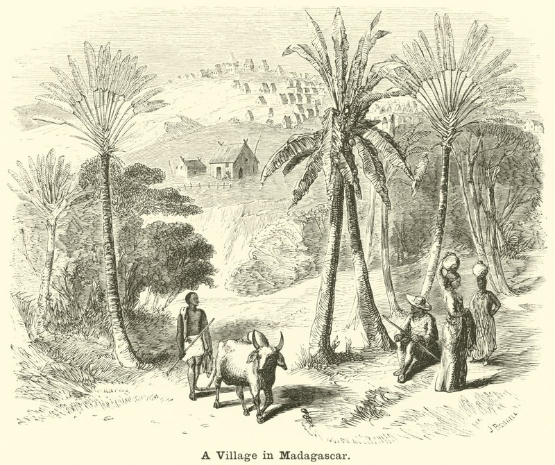 En landsby på Madagaskar av English School