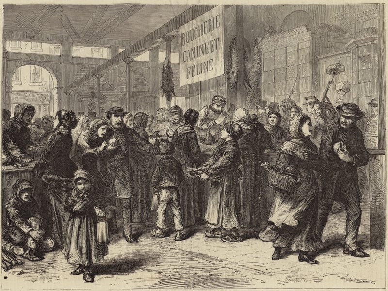 En hunde- og katteslakter i Paris av English School