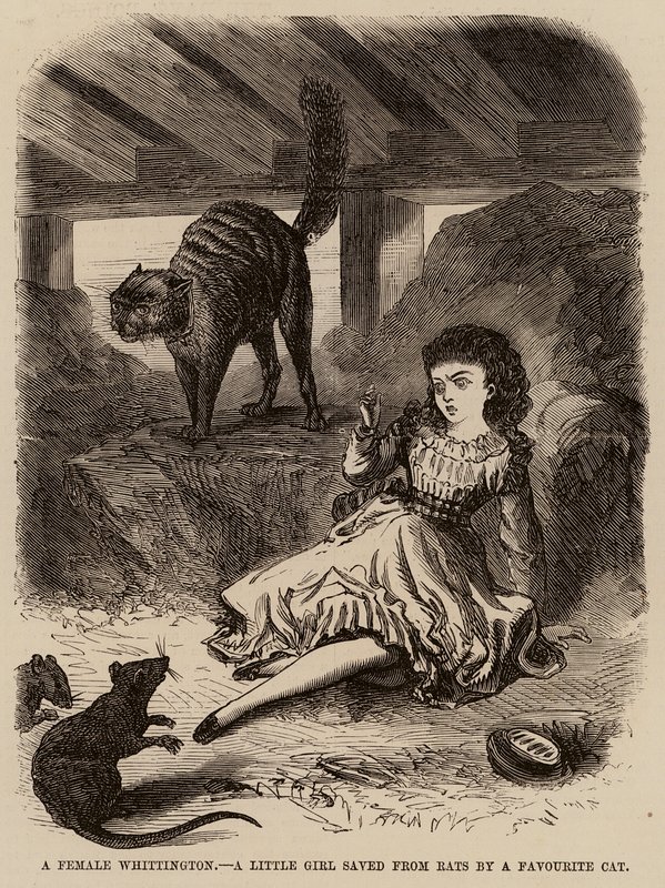 En kvinnelig Whittington, en liten jente reddet fra rotter av en favorittkatt (gravering) av English School