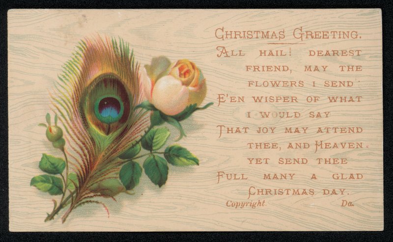 En påfuglfjær og en rose, julehilsen. (chromolitho) av English School