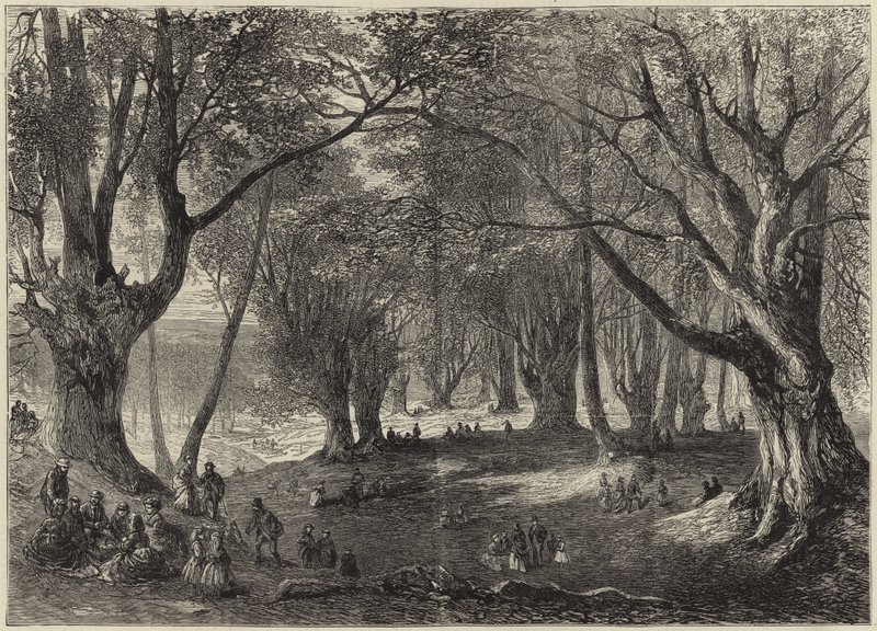 Utsikt i Epping Forest av English School