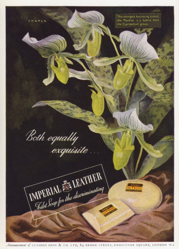 Annonse for Cussons Imperial skinnsåpe (farge litho) av English School