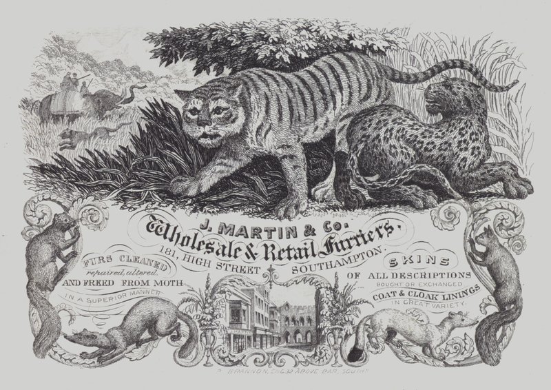 Annonse for J Martin & Co, engros- og detaljhandelsbuntmakere, Southampton, Hampshire (litho) av English School