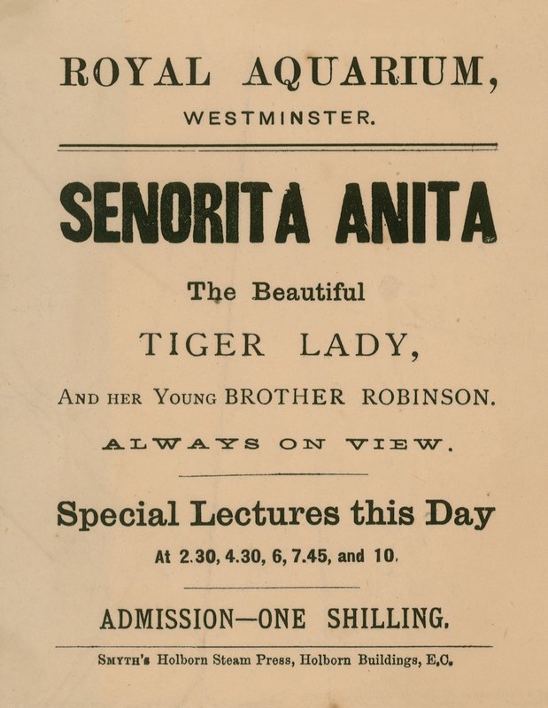 Annonse for Senorita Anita av English School