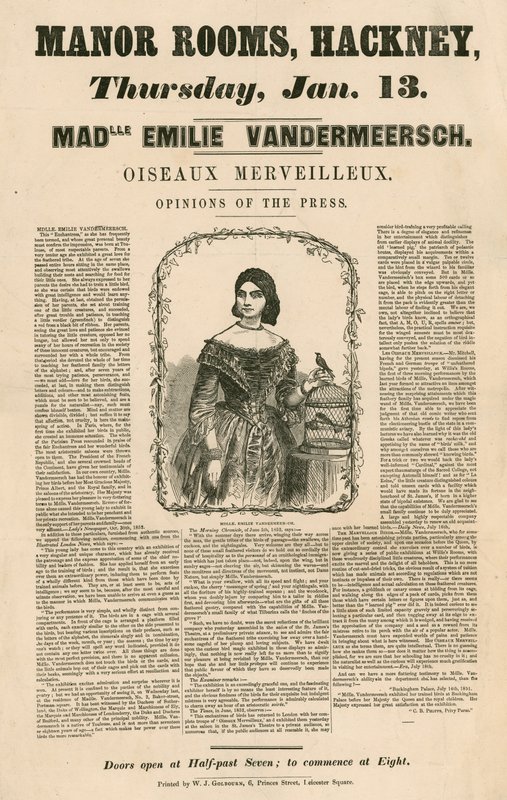 Annonse for utseendet til Mademoiselle Emile Vandermeersch, Oiseaux Merveilleux på Manor Rooms, Hackney, London av English School