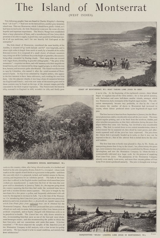 Annonse, øya Montserrat, Vestindia (gravering) av English School