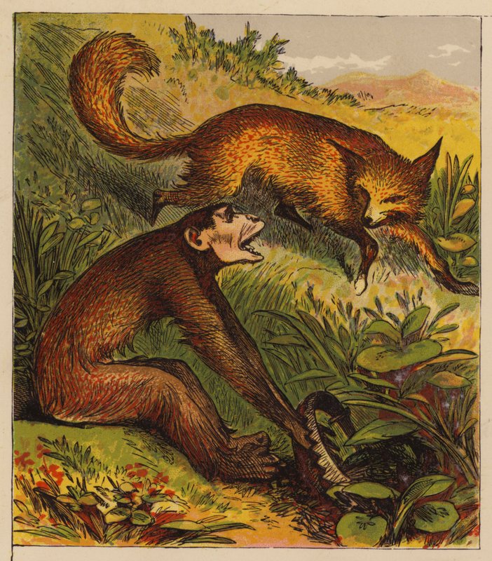 Aesop