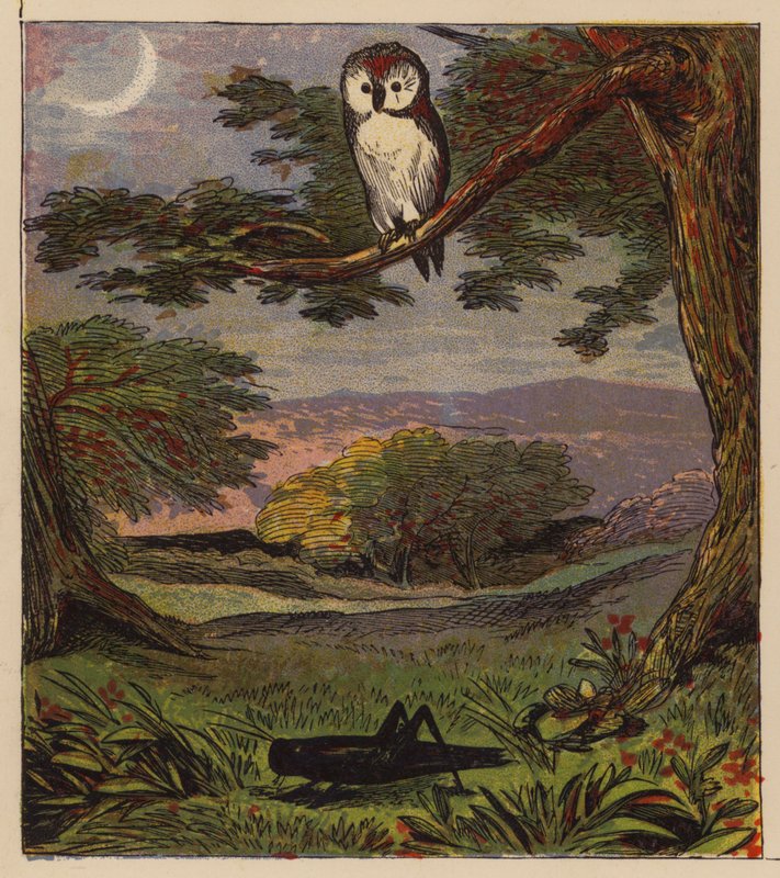Aesop