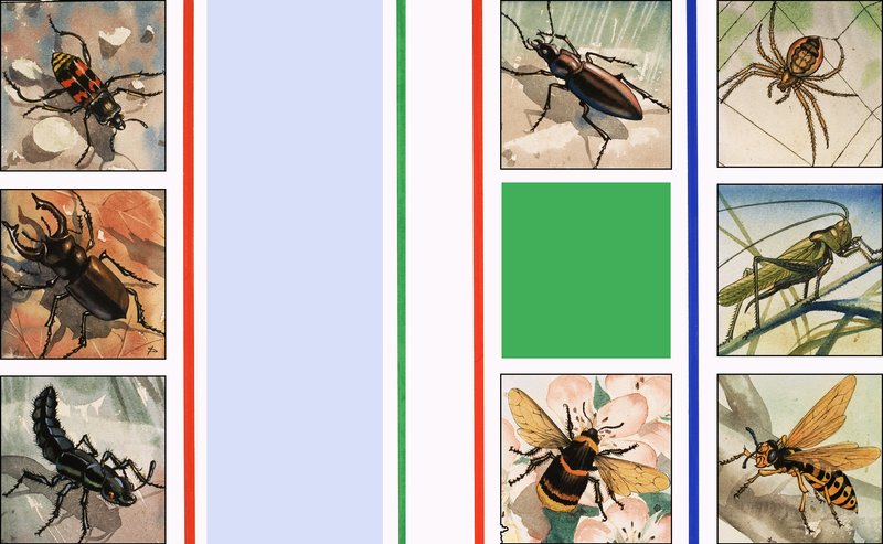 Alle slags insekter av English School