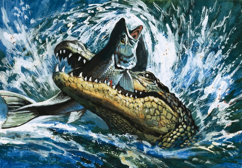 Alligator spiser fisk av English School