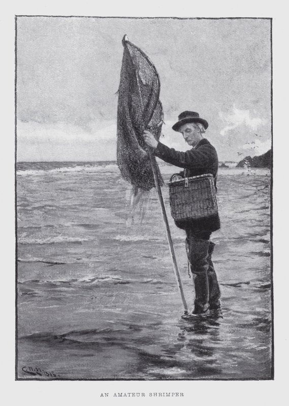 En amatør rekefisker (litho) av English School