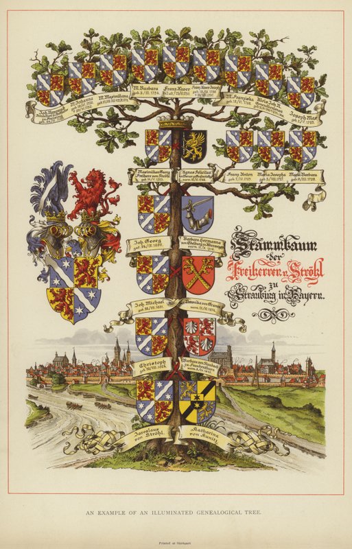 Et eksempel på et opplyst genealogisk tre (farge litho) av English School