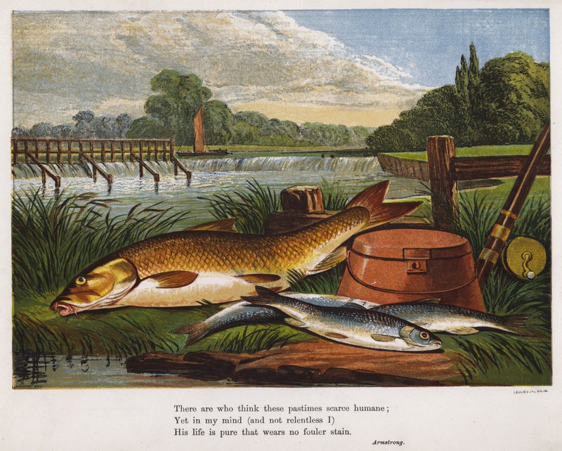 Anglers fangst av fisk på en elvebredd (farget gravering) av English School