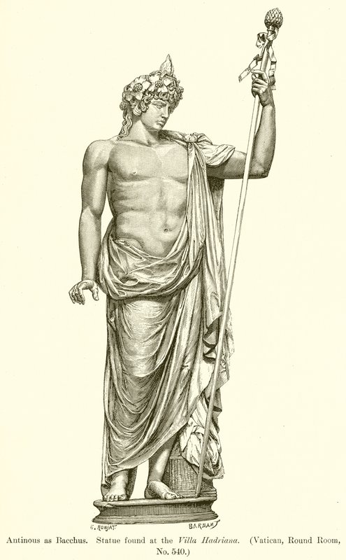 Antinous som Bacchus. Statue funnet ved Villa Hadriana. (Vatikanet, rundt rom, nr. 540) av English School