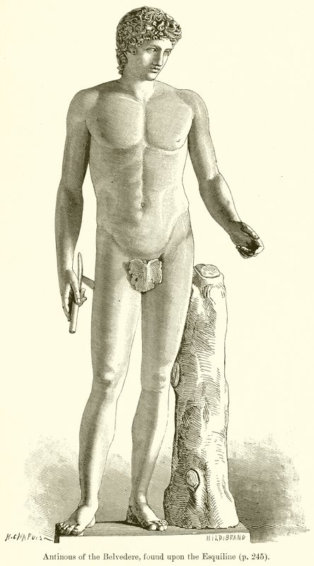 Antinous fra Belvedere, funnet på Esquiline av English School