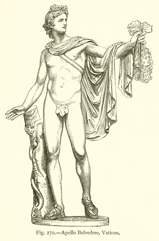 Apollo Belvedere, Vatikanet av English School