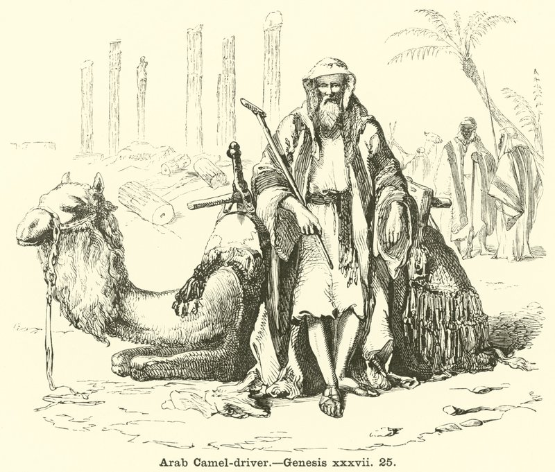 Arabisk kamelfører, Genesis, xxxvii, 25 av English School