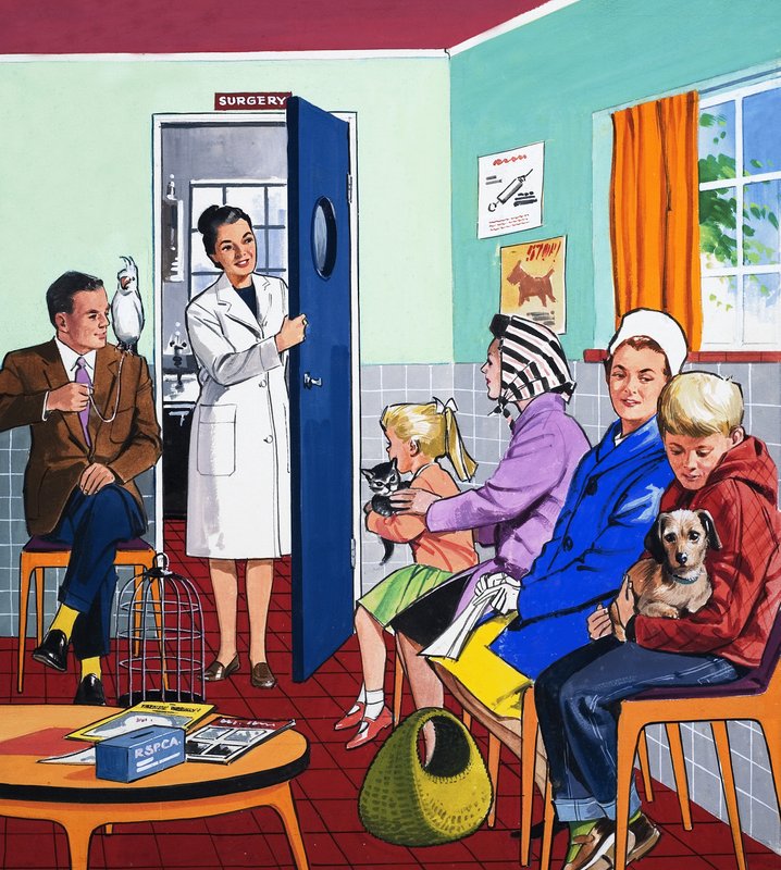 Hos veterinærene av English School