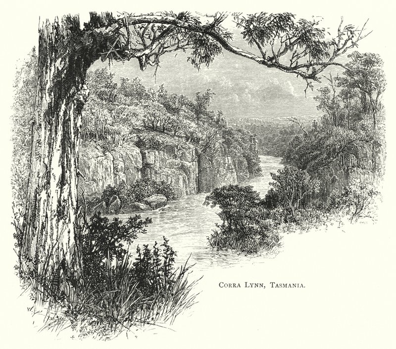 Australia: Corra Lynn, Tasmania (gravering) av English School